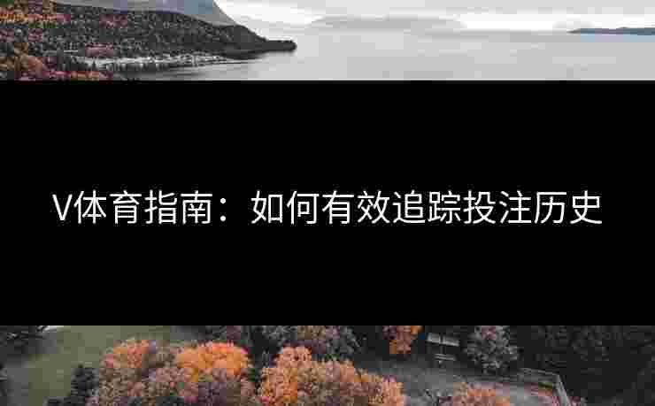 V体育指南：如何有效追踪投注历史