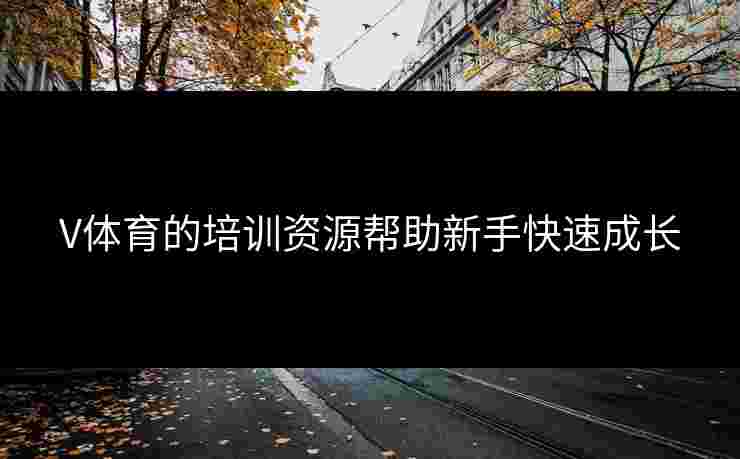 V体育的培训资源帮助新手快速成长
