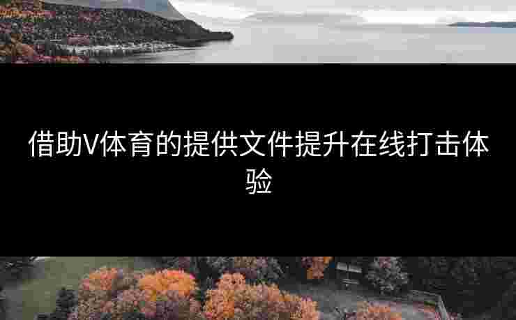 借助V体育的提供文件提升在线打击体验