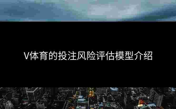 V体育的投注风险评估模型介绍
