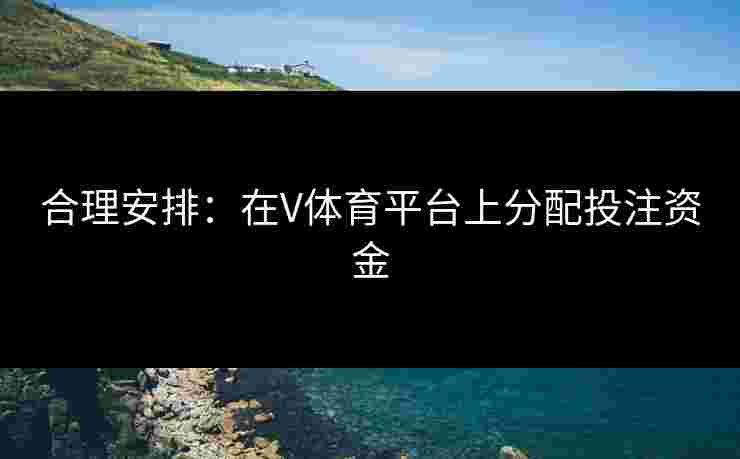 合理安排：在V体育平台上分配投注资金